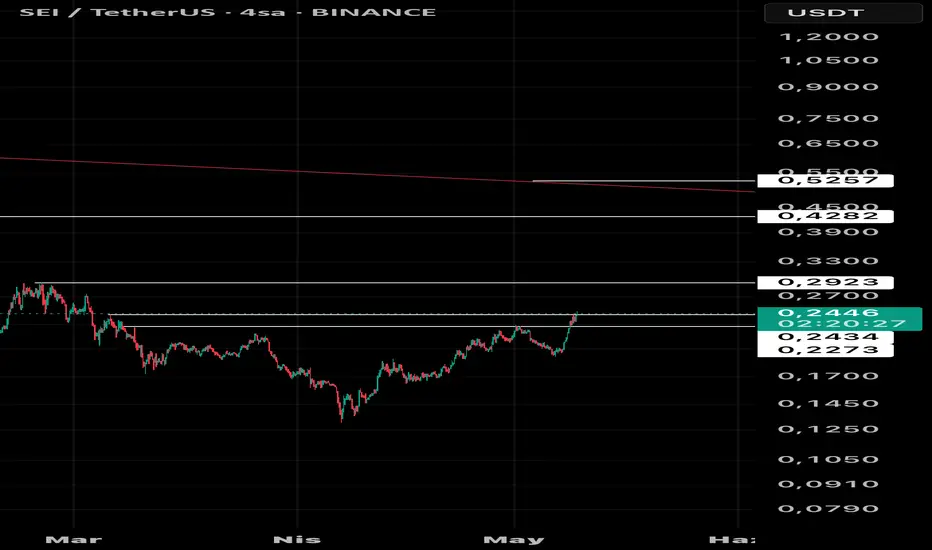 SEI BUY fikir