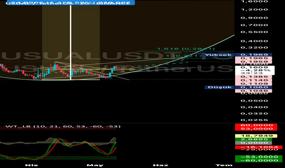 Usual usdt 1g fikir