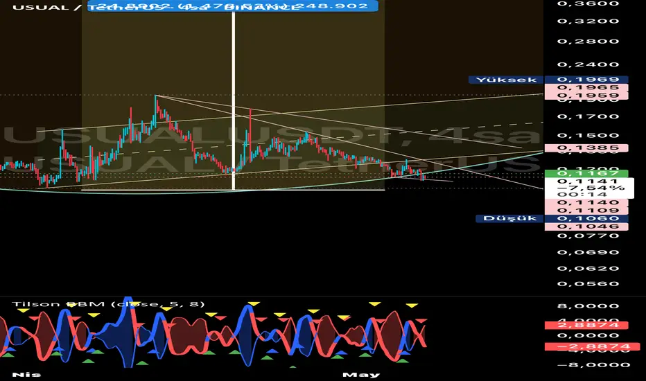 Usual usdt 4h fikir