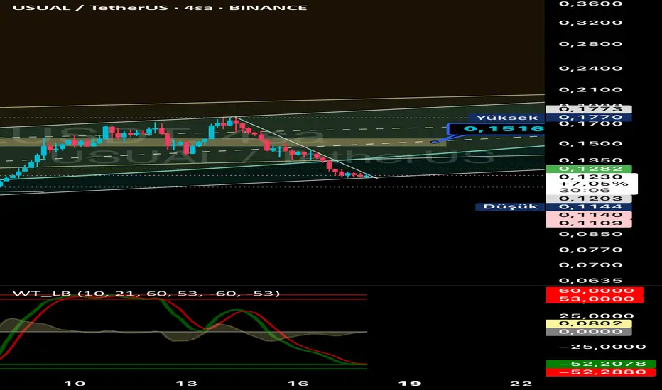 Usual usdt fikir