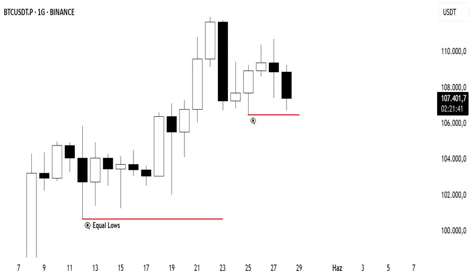 BTCUSDT 29 Mayıs 2025 Daily Bias fikir