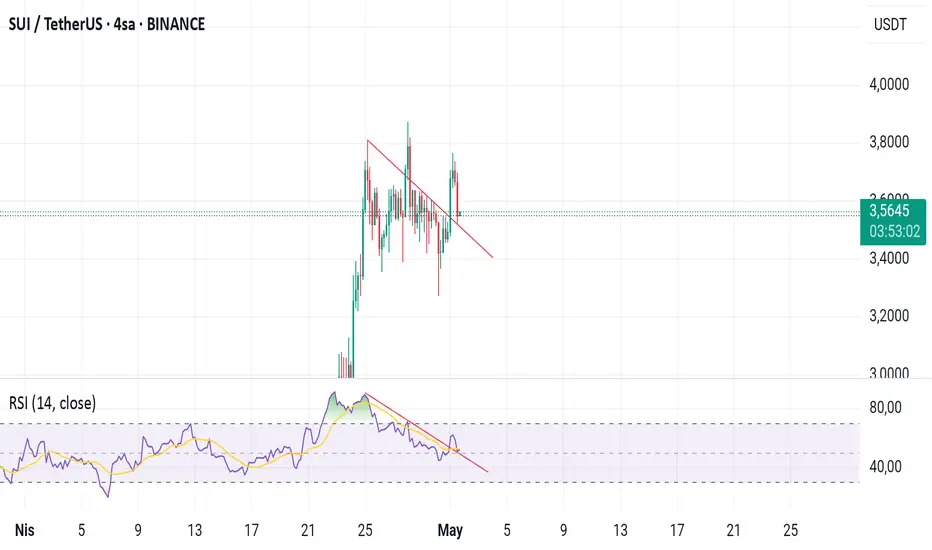 Sui Güzel Retest fikir