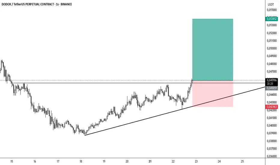 DODOX / 1H fikir