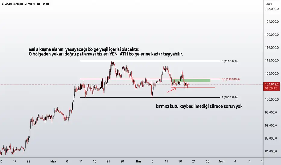 bitcoin fikir
