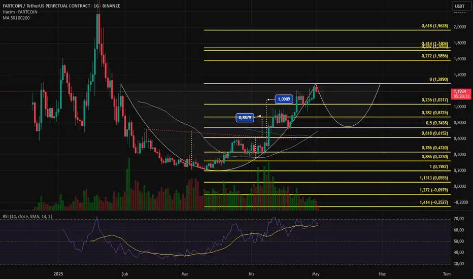 FARTCOIN FİNCAN SAPI fikir